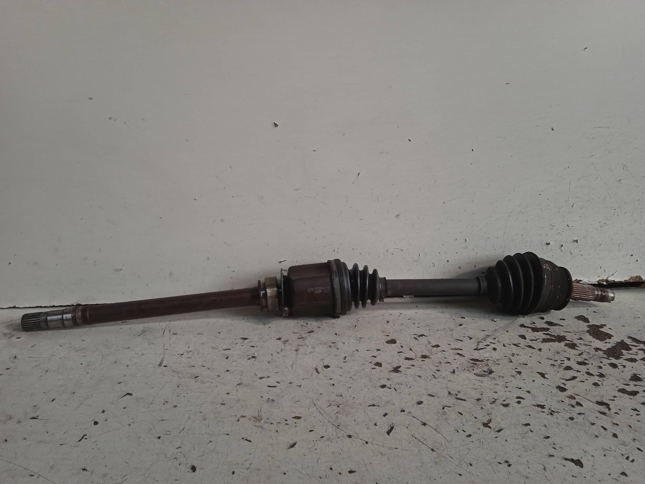 Semialbero ant. compl. dx.